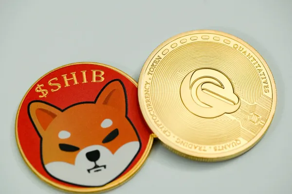 Shiba Inu Kurs: Meme-Coin SHIB Kurs steigt stark an