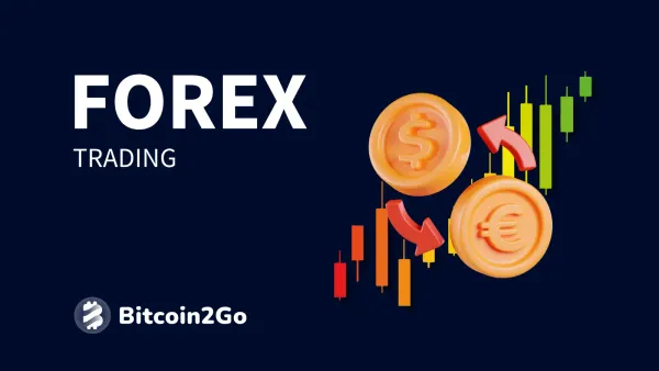 Forex Trading: Erklärung, Grundlagen und Tipps