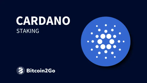 Cardano Staking - Erklärung, Pools, Anleitung