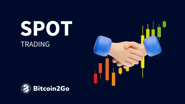 Spot Trading: Erklärung und Strategien
