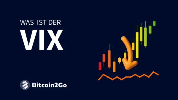 VIX Index: Erklärung, Berechnung, S&P 500