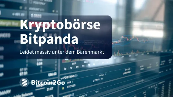 Bitpanda: Kryptobörse leidet unter dem Bärenmarkt