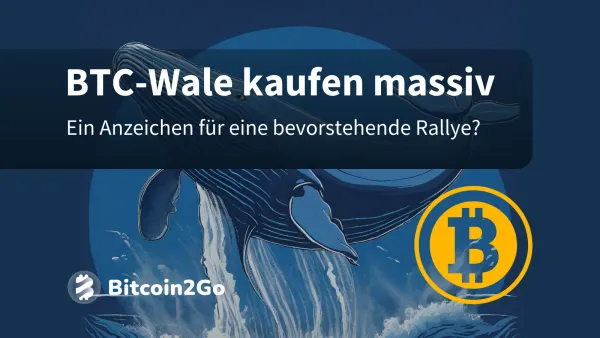 Bitcoin Wale kaufen den Dip: Kursrallye voraus?