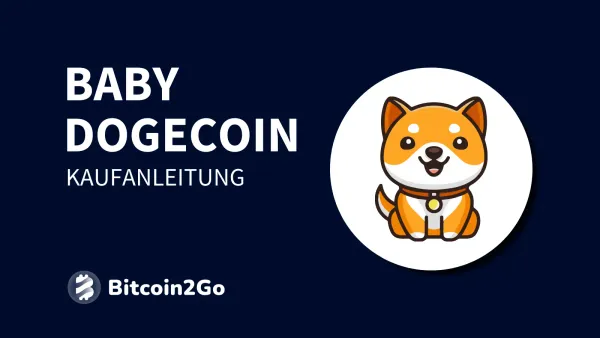 Baby Dogecoin kaufen: PayPal, Kreditkarte & Überweisung