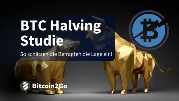 Bitcoin Halving: Studie zur Bitcoin Kursentwicklung