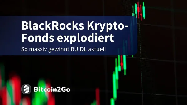BlackRock BUIDL-Fonds erreicht neuen Meilenstein auf Polygon