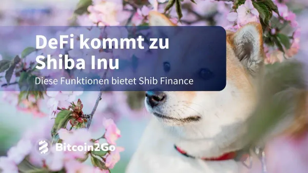 Shiba Inu Kurs im Aufwind: Team kündigt großes DeFi-Upgrade an