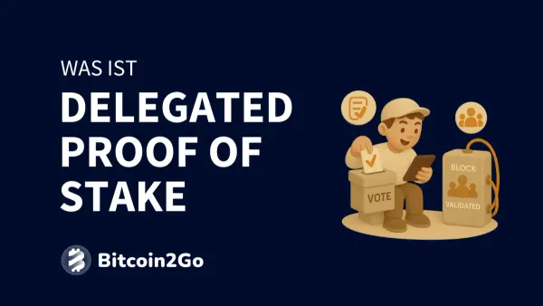Delegated Proof-of-Stake (dPoS)