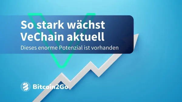 VeChain: MiCA-Zulassung und DeFi-Boost pushen VET