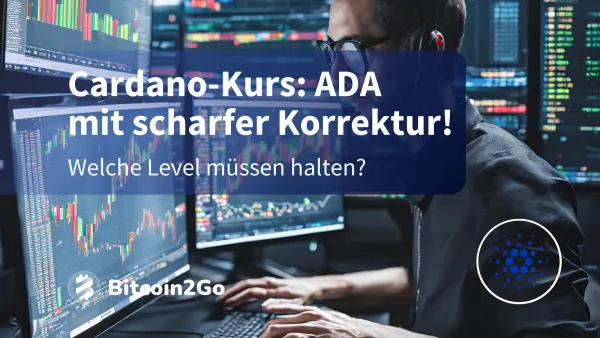 Cardano-Kurs korrigiert! Diese Level müssen jetzt halten
