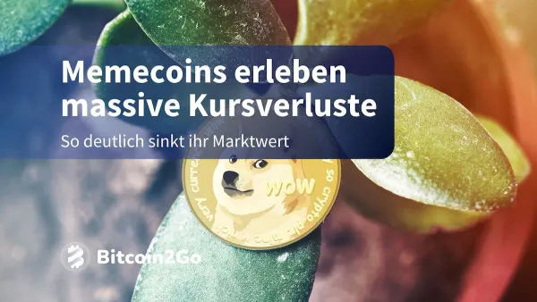 Meme Coin Selloff: PEPE, BONK & WIF verlieren massiv an Wert