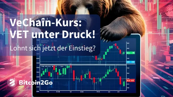 VeChain-Kurs: VET korrigiert! Kommt jetzt der Turnaround?