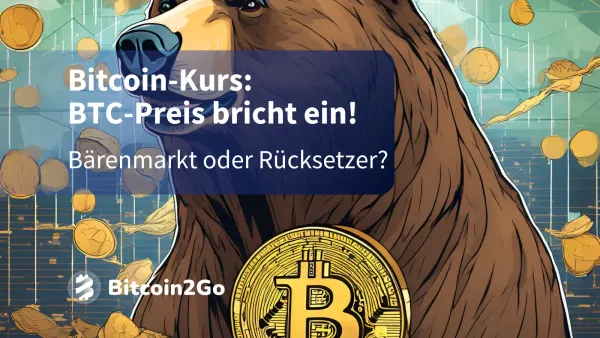 Bitcoin-Kurs im Sinkflug! Beginn des Bärenmarkts?