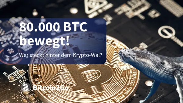 Riesiger Bitcoin-Wal bewegt 8 Milliarden USD: Ist Nakamoto zurück?