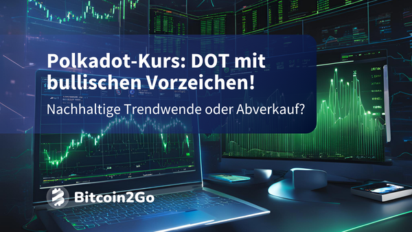 Polkadot (DOT): Folgt jetzt die große Erholungsrallye?