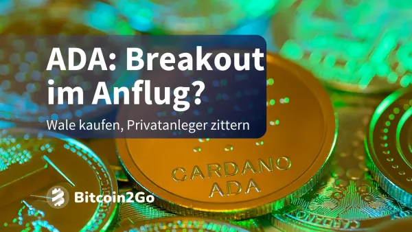 Cardano (ADA) im Wal-Visier: Retail-Panik als Chance?
